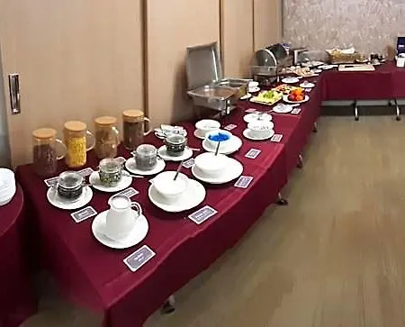 Bily Pav Benatky nad Jizerou